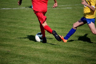 开云体育下载-中国田径队在世界舞台上表现优异，奖牌不断，中国田径队排名